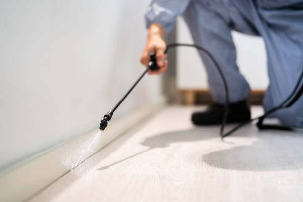 Licensed Termite Control service in Beesleys Point, NJ - Nex Pest Control